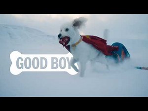 For Honor | Milk-Bone x SUPERMAN