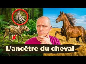 Origin and evolution of horses