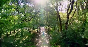 Grand Designs S16 - Ep01 West SusSe'x The Perfectionist's... HD Watch