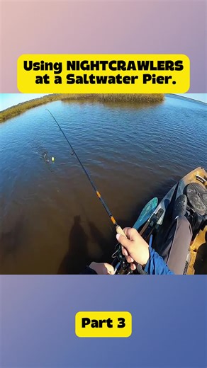 Using NIGHTCRAWLERS at a Saltwater Pier.. boat #kayakfishing #saltwaterfishing #fish #outdoors #fishing #southemsalt #dangerfishing #dangersofrockfishing