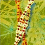 Discovering Genes Involved in Disease and the Mystery of Missing Heritability