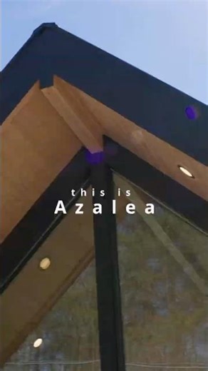 Azalea Treehouse in the Smoky Mountains 🌸