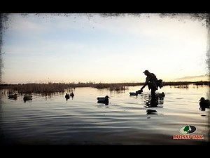 DUCK HUNTING CLUB SUISUN MARSH CALIFORNIA 220 ACRES
