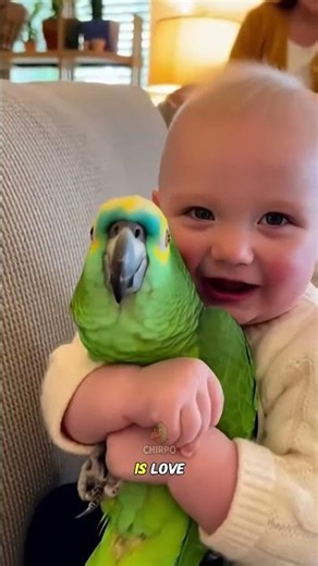 baby giggling while the parrot copies every move 🦜🤣👶#talkingparrot #funny