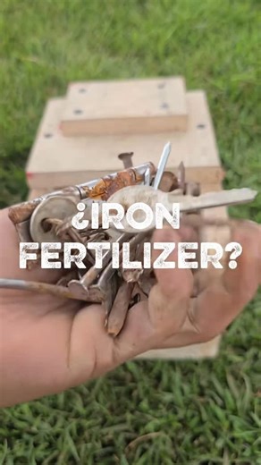 Eco Agriculture Lab on Instagram: "Have you ever used rusty nails or other scrap metal as a micronutrient source in your garden? What natural fertilizer hack gave you the most surprising results? #IronForPlants #GardenHackAlert #SoilMicronutrients #SmartGardeningTips #GrowWithScraps #OrganicPlantCare #SustainableSoilSolutions"
