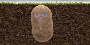 How To Turn Yourself Into A Video Call Potato