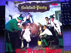 kern buam kuhstall party 13 titel