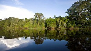 Perú 2021 lanzó el primer mapa interactivo de iniciativas sostenibles