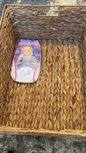 4.2K views · 17 reactions | Is your Big Kid potty trained during the...