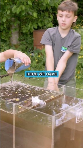 Is your septic system showing signs of failure?