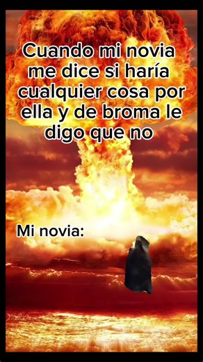 Gato Gritando Meme Compilation