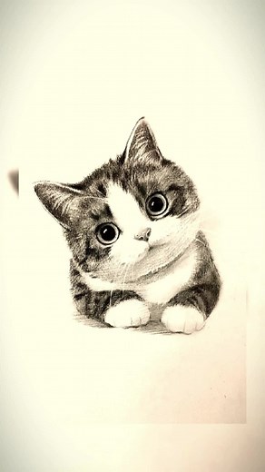 How to Draw a Cute Kitten with Pencil | Drawing Tutorial