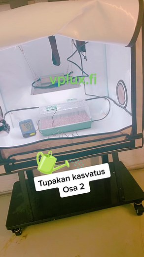 Tupakan kasvatus osa 2. Päivittäin olen suihkuttanut siemeniä ja nyt 4-pvä jälkeen lisäsin LED-valaisimen Samsung 100W ja Homebox AR80 kasvatusteltan. Siemenet ovat lähteneet itämään jo 4päivän jälkeen 😎 Ottakaa tili seurantaan ja käykää tarkastamassa Vplux.fi verkkokauppa 🙂 #tobacco #tupakka #tupakankasvatus #growingtobacco #hydroponics #kasvatus #vpluxoy #viljely #kasvattaminen #tobaccogrowing #viherpeukalo
