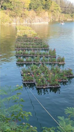 Amazing Floating Garden on Water | Unique Farming Idea 🌱