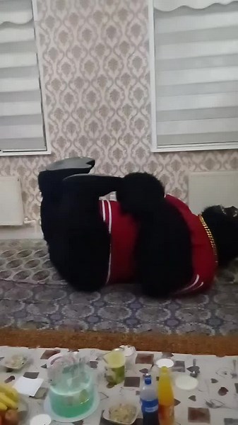 Мишка: Сюрприз с Горами и Пандой