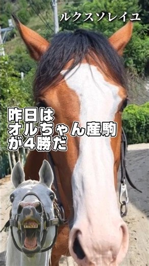 オルフェ産駒が一日で4勝の大暴れ