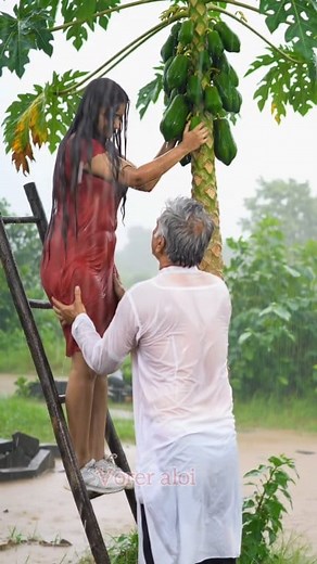 All ASMR Rain In Bamboo Hunt 🌧️ | Rain Sounds For Sleeping #asmr #sleepmusic #rain #travel #love #viral #slang #food #rainsounds #asmrsounds #military #freedom #luxury #midwest #jacket Disclaimer 😜👉👉This video is made for relaxation and ASMR purposes only. ⚠️ Disclaimer: This video is created with the help of AI for entertainment and natural scenery purposes only. No vulgar or adult content is intended. | Vorer aloi-ভোরের আলোই