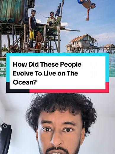 The Bajau: Humans Evolving to Live on the Ocean