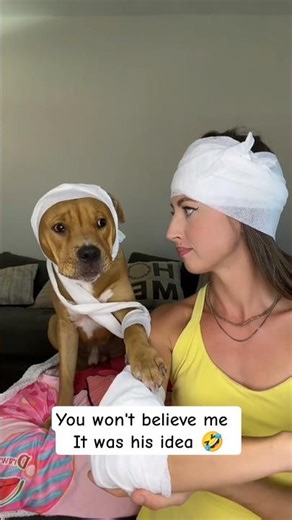 You won't believe me but It was his idea 🤣 #dog #dogfun #Funnydog
