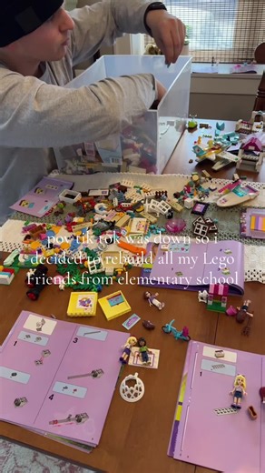 Rebuilding Lego Friends Sets During TikTok Downtime