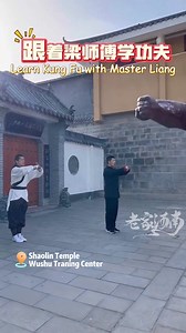 跟着梁师傅学功夫——五步拳 Learn Kung Fu with Master Liang--Five Stance Form #Shaolin #kungfu #martialarts #wushu | Discover Henan