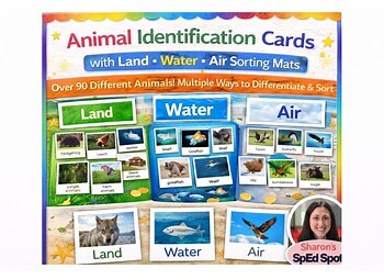 Animal Identification and Sort Cards -Preschool, Kindergarten, ABA, Special Ed