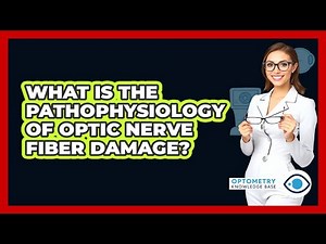 What Is The Pathophysiology Of Optic Nerve Fiber Damage?
