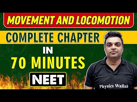 MOVEMENT AND LOCOMOTION in 70 minutes || Complete Chapter for NEET