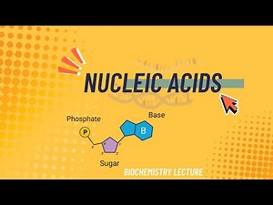 Nucleic Acids Explained | Nucleotides, Nucleosides & Clinical Importance