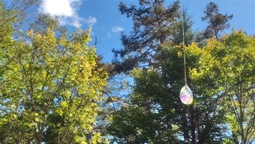 Hirokazu Tada on Reels