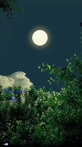 #Anki #Jane #Phul... | Rita