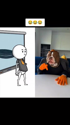 oreo!!! 😂 #trendingvideo #fyp #oreo #dog #funyy_videos