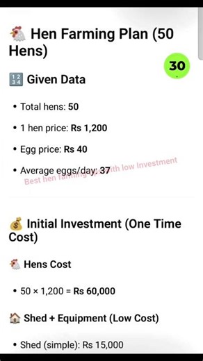 best hen farming tips with low Investment 🐔#plan #pakistan #hen farming #grow channel #farmingideas