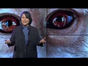 Is Animal Research Justified By Human Supremacy? | Syd Johnson | TEDxSUNYUpstate