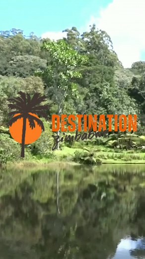 Explore the Enchanting Vumba Botanical Gardens | Zimbabwe Tourism