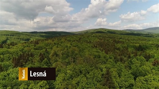 Certifikácie FSC a PEFC na výrobkoch. Čo to znamená?