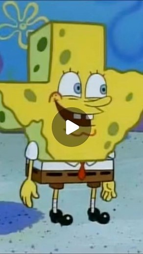 SpongeBoy MeBob | Literally no difference. #spongebob #spongebobmemes #spongebobsquarepants #spongebobandpatrick #wumbo #bikinibottom #krabbypatty... | Instagram