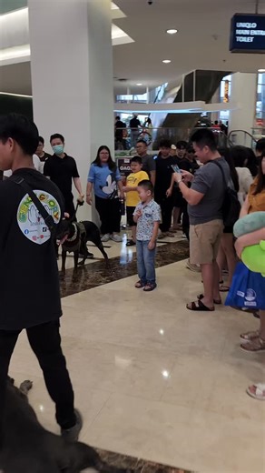 2.6K views · 20 reactions | Genji Glory on Reels | Facebook