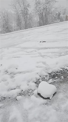 Şaban 67 (@saban.akko) adlı kullanıcının orijinal ses - Cankan ile oluşturduğu videoları