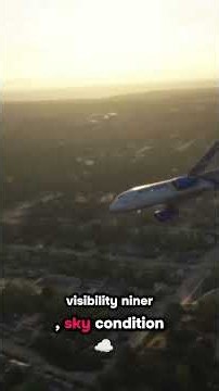How Bad Visibility Stops a Flight Cold #aviation #flightsim