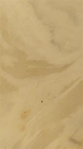 LH testing ✨for fun✨ premom is reading 12.5 high femometer is reading .61 low