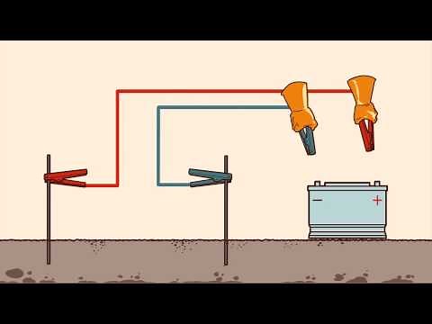 Instant Expert: Learn to Buzz Worms For Bait