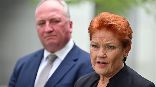 One Nation is on a roll. So what are the party's actual policies?