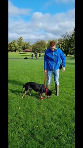 Bennett the young cross breed. He's around a year old and super friendly but a bit full on with other dogs when he greets them. Excuse the volume of my voice here, it sounds like I'm shouting at Patrick but there.was a lot of wind noise and he was having difficulty hearing me. This illustrates well that sometimes environmental factors get in the way of clear communication between two parties, including you and your dog. If we so decide, our dogs have to learn how to greet dogs appropriately unde