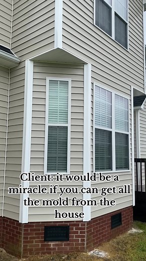 How to Soft Wash Your House and Remove Mold: Step-by-Step Guide