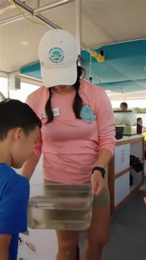 1.9K views · 21 reactions |  Searching for a fun (and educational) summer activity for the kids? Dive into adventure with Tampa Bay Watch Discovery Center USCG-certified catamaran!  They offer on-the-water school field trips and family-friendly eco-tours on afternoons and weekends. Explore Tampa Bay's rich history and discover its vibrant marine life!  | St. Pete Pier | Facebook