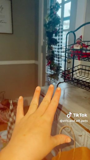 Elfs and Elf pets! (@elfs.and.elf.pets)’s videos with original sound - Elfs and Elf pets!