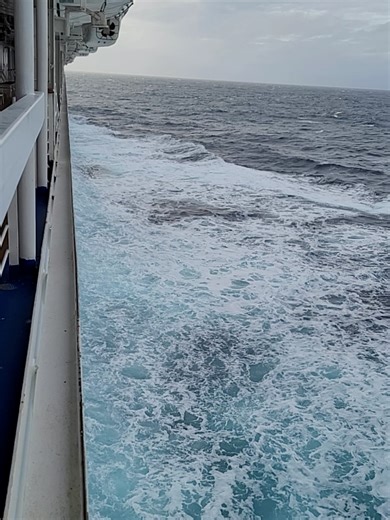 On my way to Alaska on 05/11/2022. Starboard side of the Ruby Princess #princesscruises #rubyprincesscruiseship