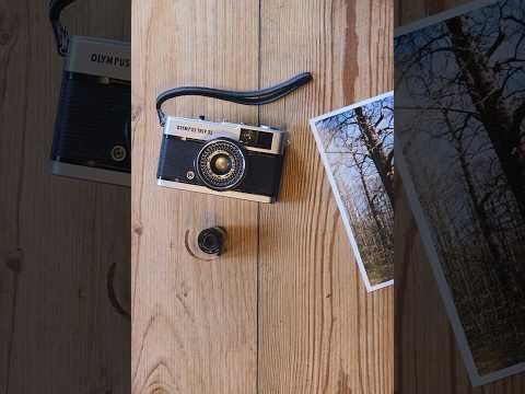 I Photographed the Same Tree Every Week for a Year