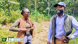 WILL MY GOATS SURVIVE HERE?: BUILDING A MEGA GOAT FARM ON THE MOUNTAINS OF GHANA | Farming In Africa